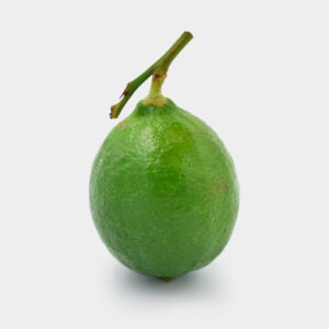 LIMON 400 20