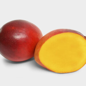 MANGO TOMMY