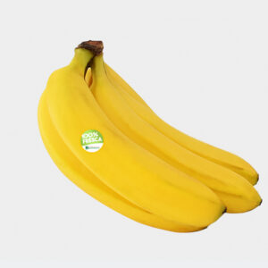 PLATANO PORTALIMON